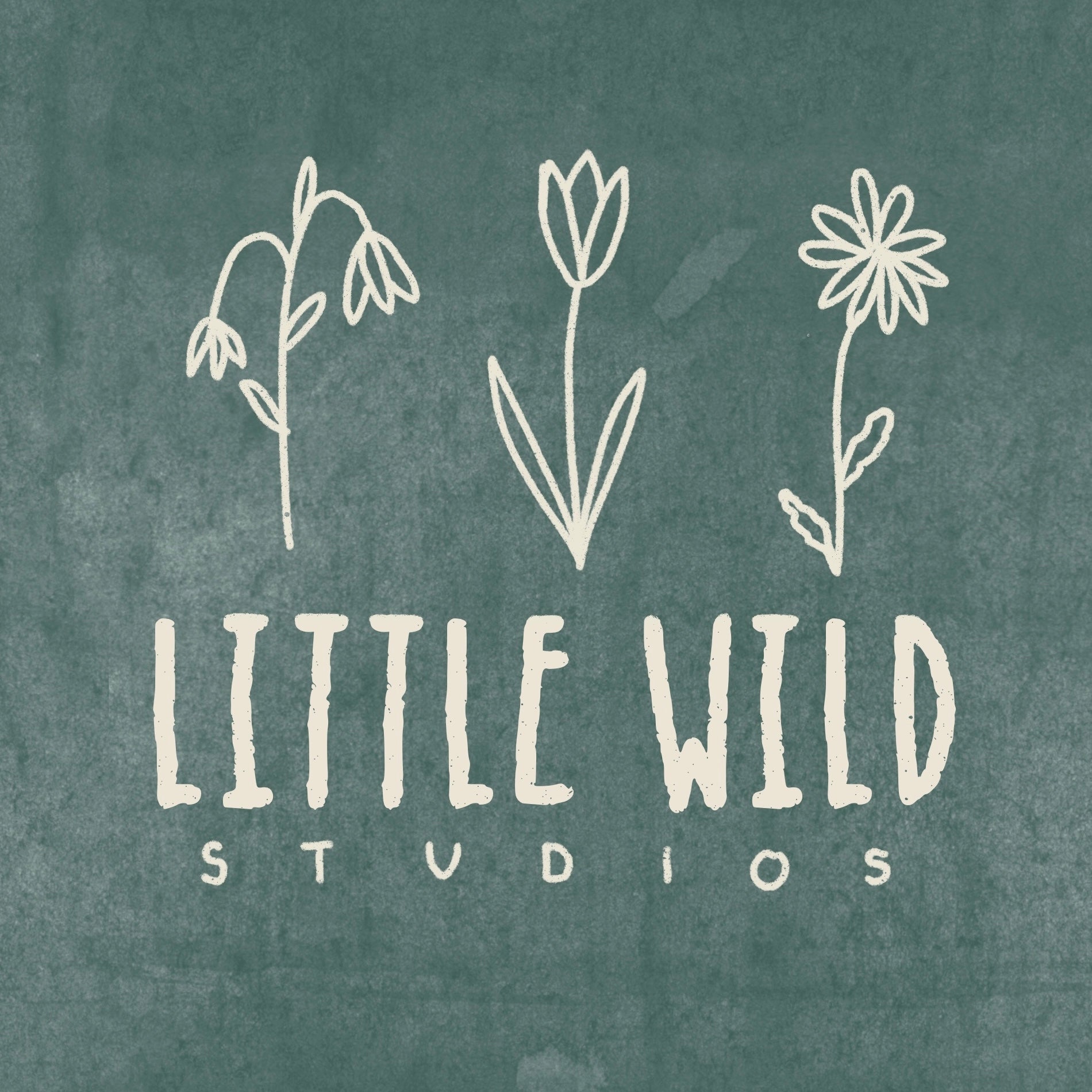 Little Wild Studios 